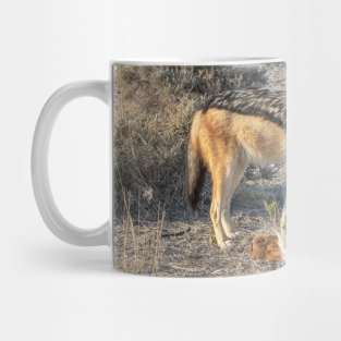 Namibia. Etosha National Park. Scavenging Jackal. Mug